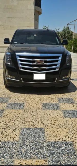 Used Cadillac Escalade in Ajman