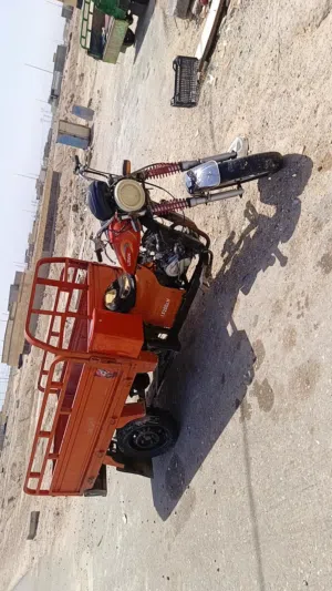 ستوته ليڤان