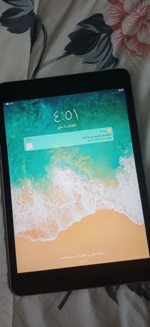 Apple iPad Mini 2 32 GB in Al Sharqiya