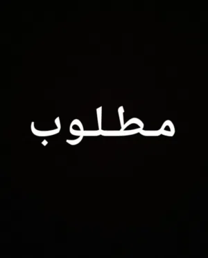 مطلوب خروف  ميفوتش 1600