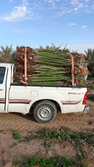 ‏أشجار - نباتات‏1