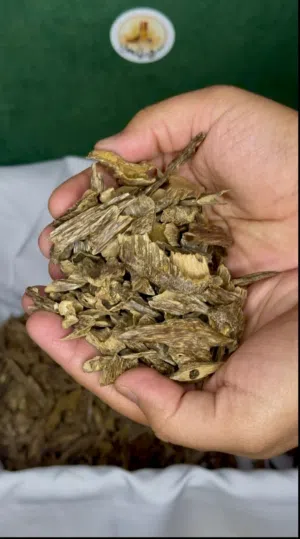 جمبو موري تريبل سوبر