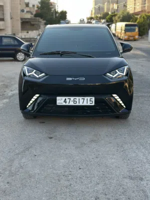 Used BYD Seagull in Amman