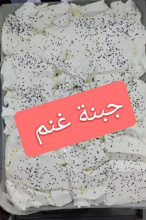 Cheese1