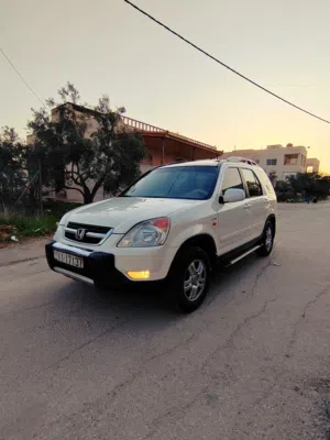Used Honda CR-V in Irbid