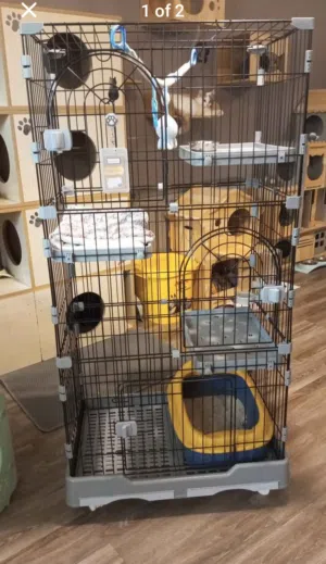 قفص للقطط الصغيره