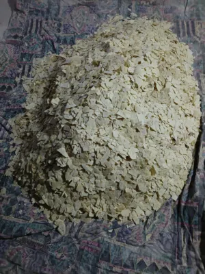خبز ناشف نخب