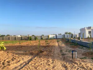 قطعة ارض مسحتها 6000متر للبيع
