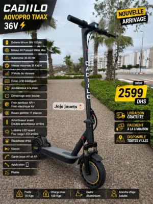Trottinette électrique cadiilo aovopro tmax 36V