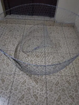 مطلوب دوابي جراجير