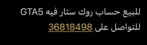 للبيع حساب روك ستار فيه GTA5 للتواصل على