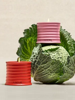 LOEWE Cucumber Candle 170g  Fresh Aquatic Scent for Your Dubai Home