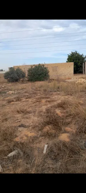 هنقر الايجار نص تشطيب