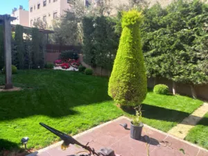 شقة شبه ارضي بضاحية النخيل  390 اجمالي المساحة