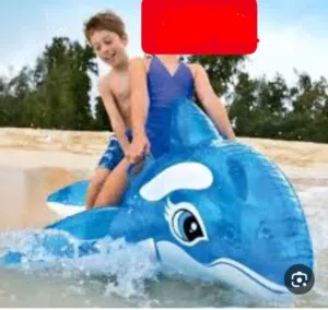 الدلفين المائي