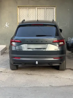 skoda-karoq-2020