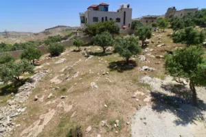 Residential Land for Sale in Amman Shafa Badran