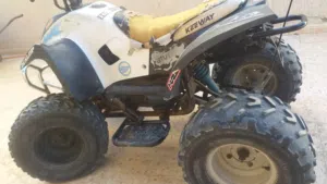 محمد احمد فخري 