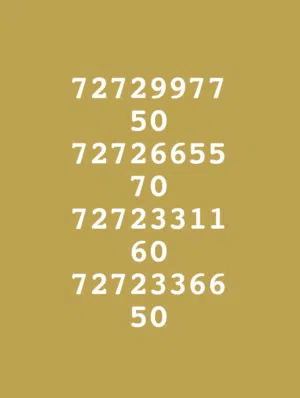 Omantel VIP mobile numbers in Muscat