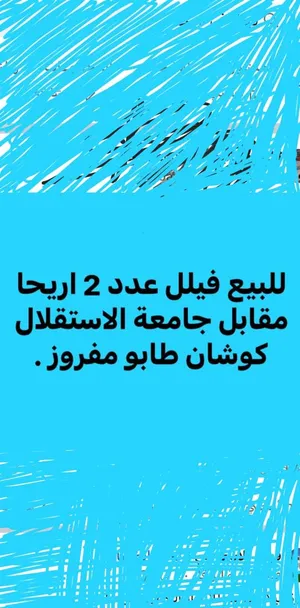 ‏220 م٢ ‏.‏ الوسيط‏1