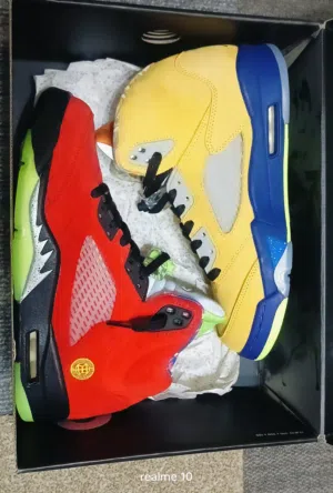Air Jordan 5