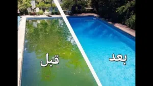 تنظيف احواض سباحه بكلور بطريقه احترافية