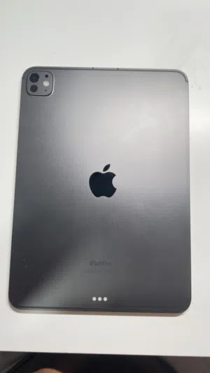 Apple iPad Pro m4 WiFi + cellular