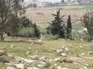 Residential Land for Sale in Amman Shafa Badran