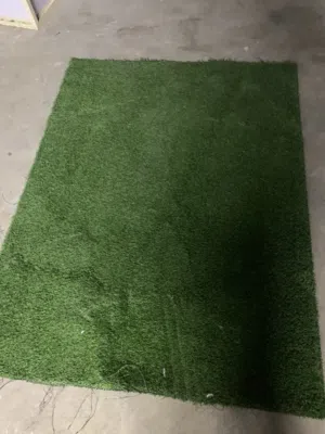 Green grass carpet and tree pot and wash basin