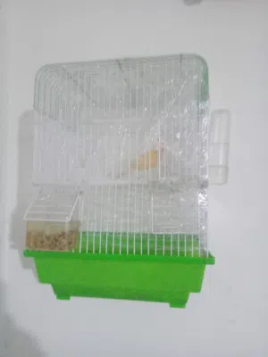 كنار  ماشاء الله تبارك الرحمن