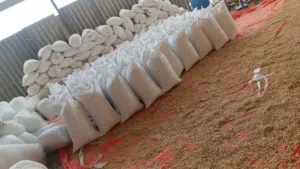 مشاره خشب دجاج