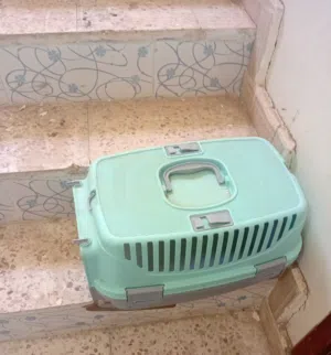 بوكس حيوانات
