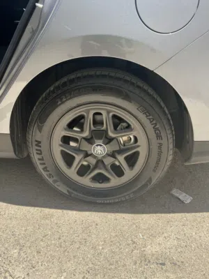 Byd gin plus 2025