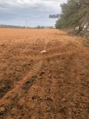 Farm Land for Sale in Misrata AlSakt