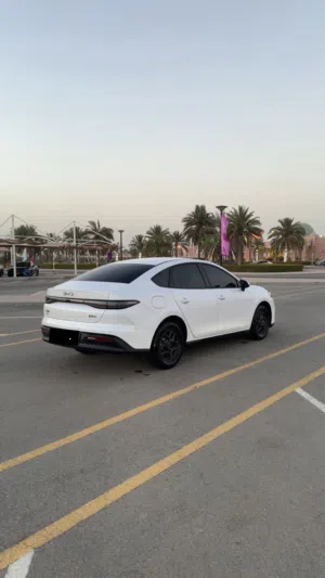 يتوفر لدينا BYD للأيجار 2025 الجديدة كلياً