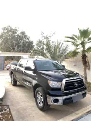تندرا 2012