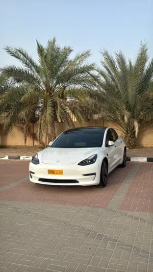Used Tesla Model 3 in Muscat
