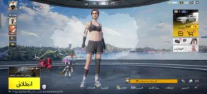 Pubg Accounts and Characters for Sale in Irbid