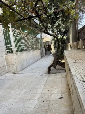 Ground Floor Apartment for Rent  شقة ارضية