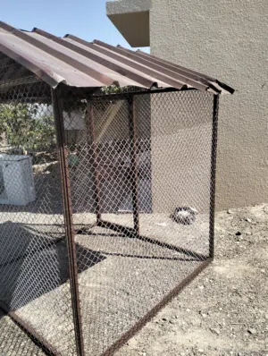 قفص طيور جديد