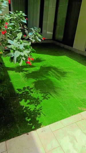 تنسيق حدائق وصيانة دورية