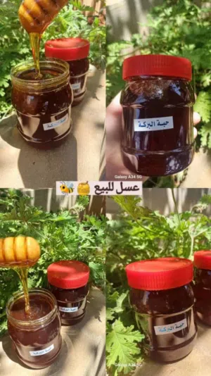 كافة أنواع العسل الطبيعي الاكسترا 100٪