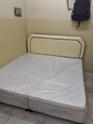 DOUBLE BED WITH METRESS ALMOST NEW. Plastic cover is also there without any defects.