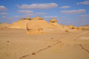 5 فدان للبيع بحوض 4 الحزام الاخضر.. بموقع متميز خطوات من وصلة دهشور.. واجهة على الرئيسي..