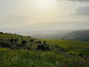 Mixed Use Land for Sale in Jerash Unaybah