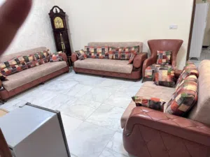تخم قنفات تركي نظيف للبيع
