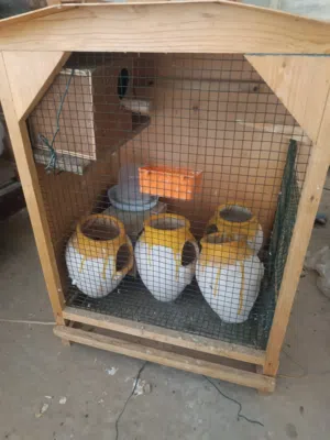 ففص مستعمل استعمال نضيف اقا الوصف