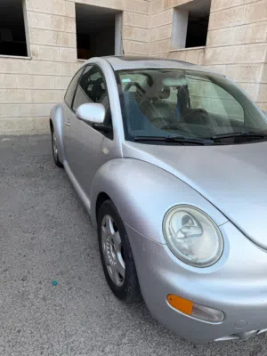 Volkswagen beetle 2001 silver