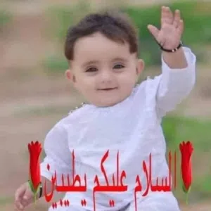 محمد محمد