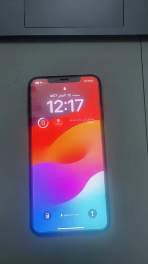 Apple iPhone XS Max 256 GB in Al Sharqiya